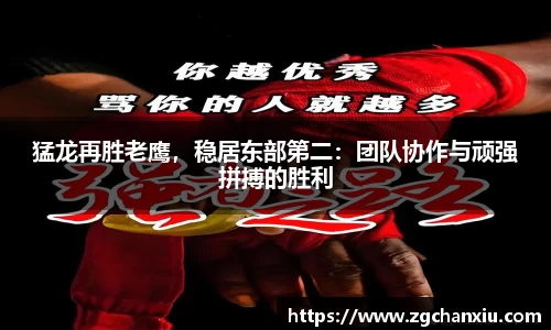 必博BIBO官网
