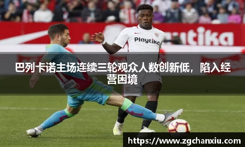 必博BIBO网址