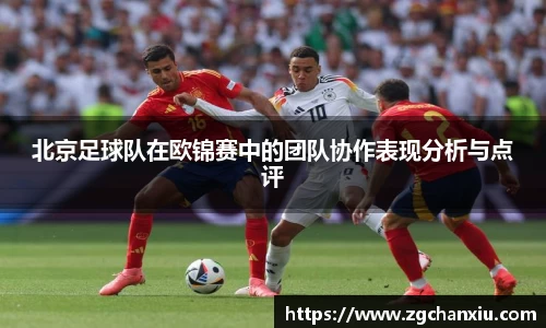 必博BIBO官网