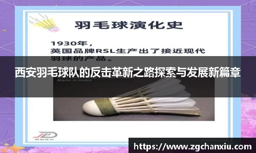 必博BIBO官网