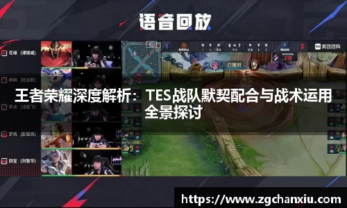 王者荣耀深度解析：TES战队默契配合与战术运用全景探讨
