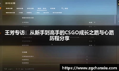 王芳专访：从新手到高手的CSGO成长之路与心路历程分享