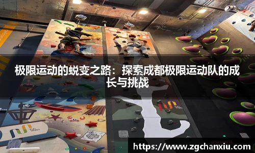 必博BIBO官网